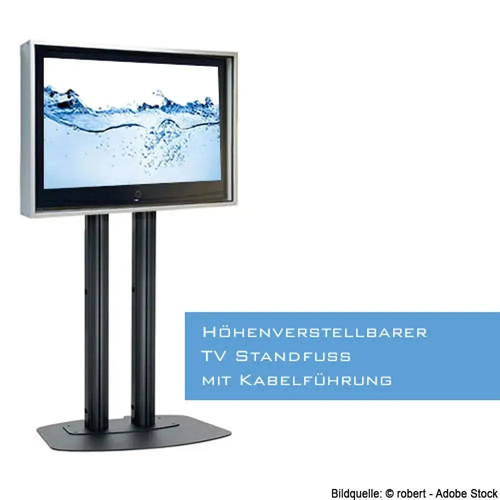 Vandalismusschutzgehäuse für Monitore von 32 bis 55 Zoll Multimedia Display GmbH